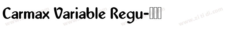 Carmax Variable Regu字体转换